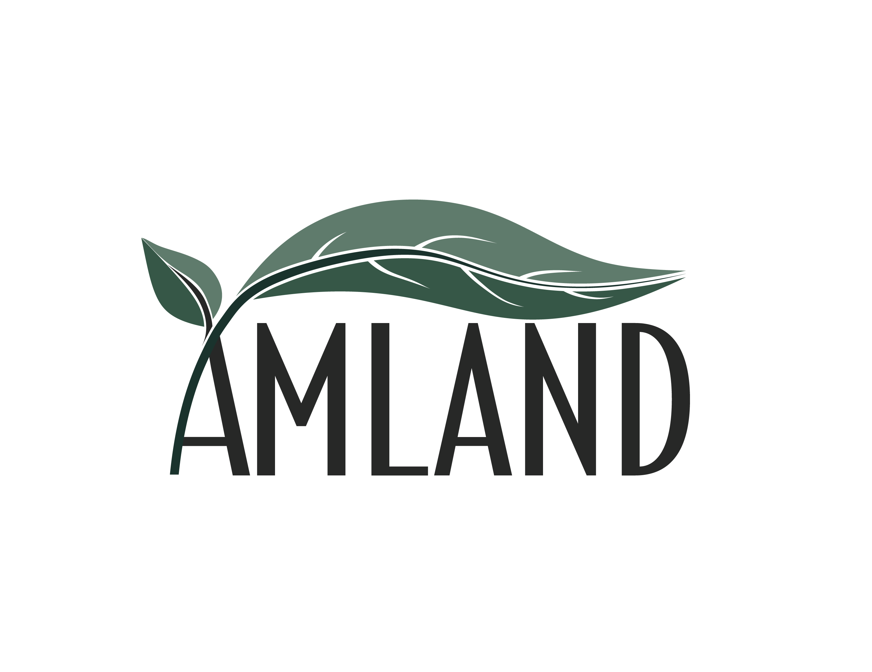 AmLand